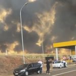 Incêndios em SP: ministro e secretário da Agricultura falam em ação criminosa