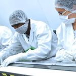 Farmácias passam a fazer testes rápidos para várias doenças, como dengue e aids