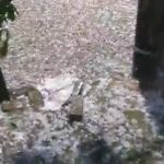 Vídeo: chuva de granizo deixa ruas de Porto Alegre brancas