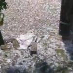 Vídeo: chuva de granizo deixa ruas de Porto Alegre brancas