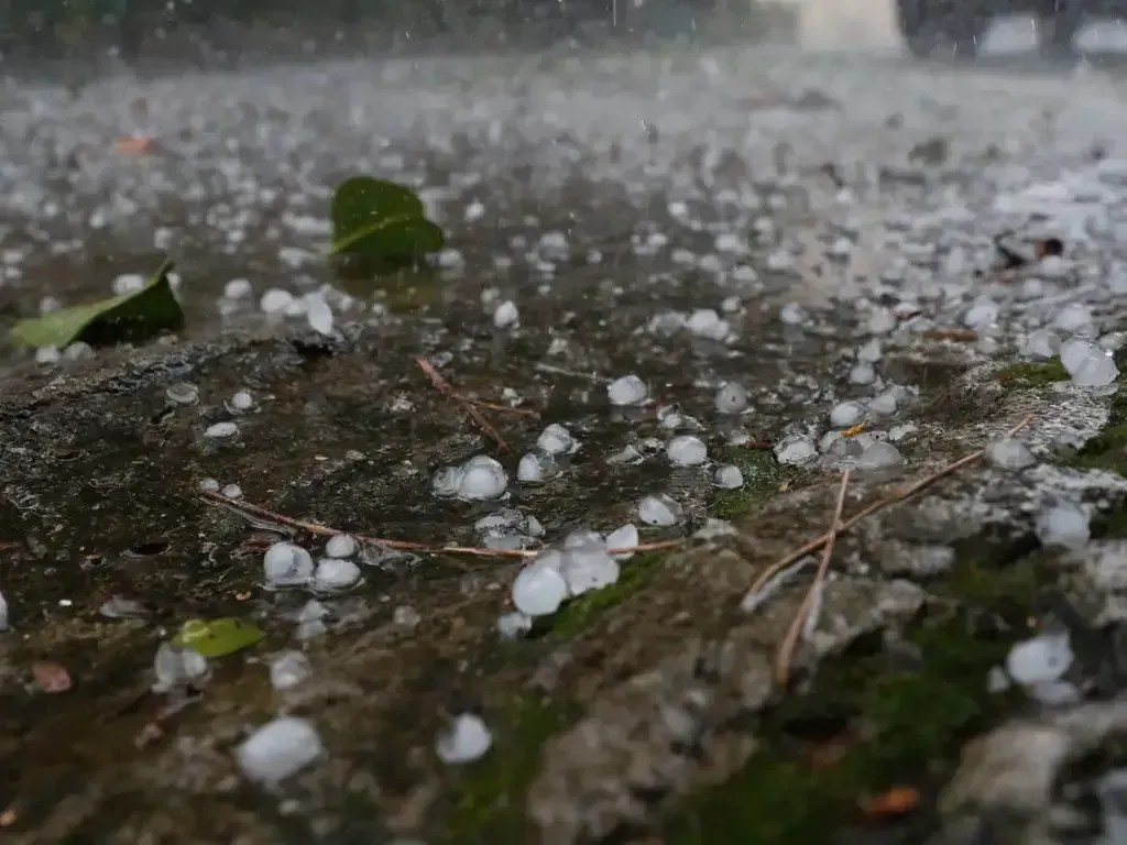 Previsão do Tempo: oito estados em alerta para tempestade ou granizo; veja lista