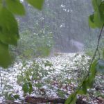 Previsão do tempo: quatro estados em alerta vermelho para tempestade com granizo