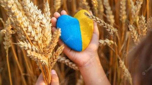 Guerra entre Rússia e Ucrânia causa impasse também no comércio de grãos