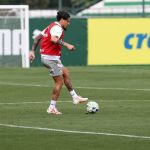 Gómez retorna, e Palmeiras tem poucas dúvidas para encarar Goiás