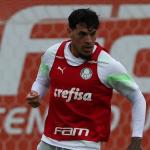 Palmeiras tem dúvidas no ataque e com 'selecionáveis' para jogo contra Atlético