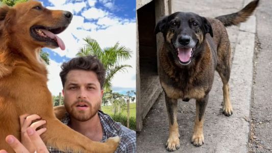 Gustavo Tubarão lamentou a morte do cão Orelha