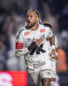 Neymar fez o gol da vitória do Santos contra o Flamengo