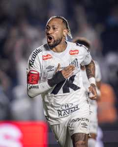 Neymar fez o gol da vitória do Santos contra o Flamengo