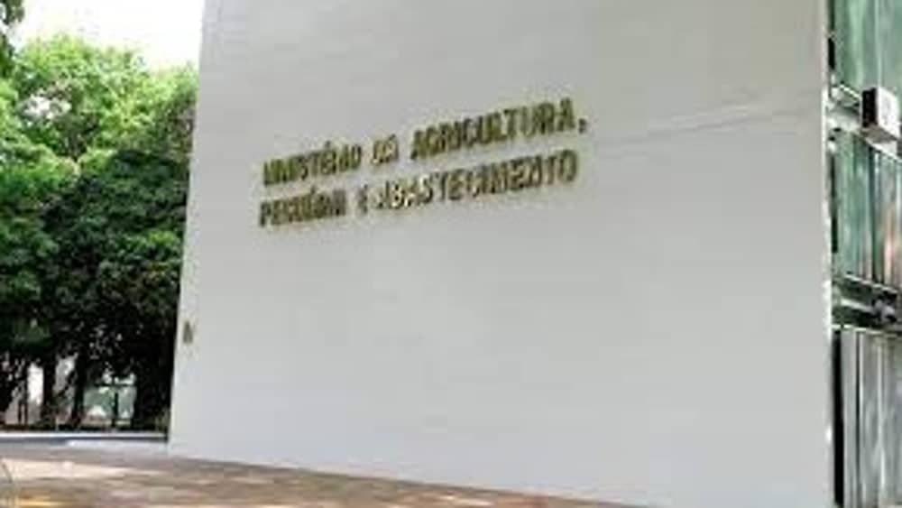 Ministério da Agricultura abre mais de 300 vagas com salários de até R$ 6 mil