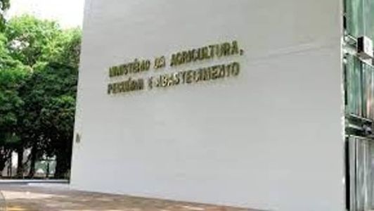 Há oportunidades para pessoas com ensino fundamental, médio e superior