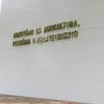Ministério da Agricultura abre mais de 300 vagas com salários de até R$ 6 mil