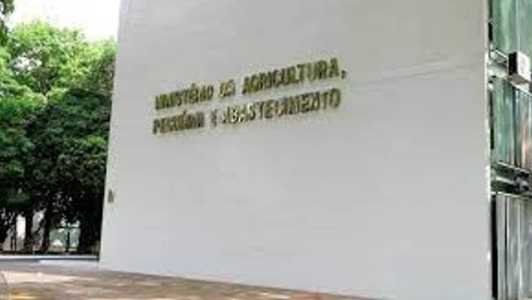 Há oportunidades para pessoas com ensino fundamental, médio e superior
