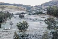 Frio intenso derruba temperaturas abaixo de zero e provoca geada no Sul do Brasil; veja imagens