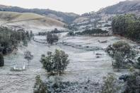 Frio intenso derruba temperaturas abaixo de zero e provoca geada no Sul do Brasil; veja imagens