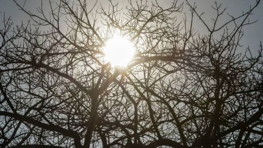 Há risco de incêndios florestais e à saúde
