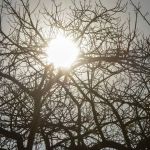 Clima de deserto: Minas tem alerta de baixa umidade do ar que pode chegar a 12%; veja cidades 