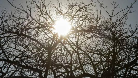 Há risco de incêndios florestais e à saúde