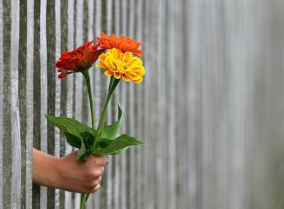 Imagem ilustrativa de buquê de flores