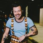 Harry Styles interrompe show para fã gravida ir ao banheiro; veja vídeo do momento
