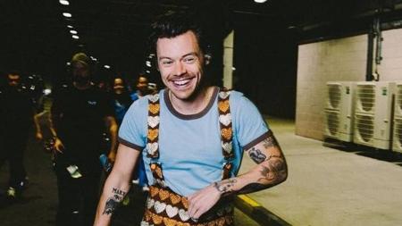 Harry Styles interrompeu show no País de Gales para fã grávida ir ao banheiro