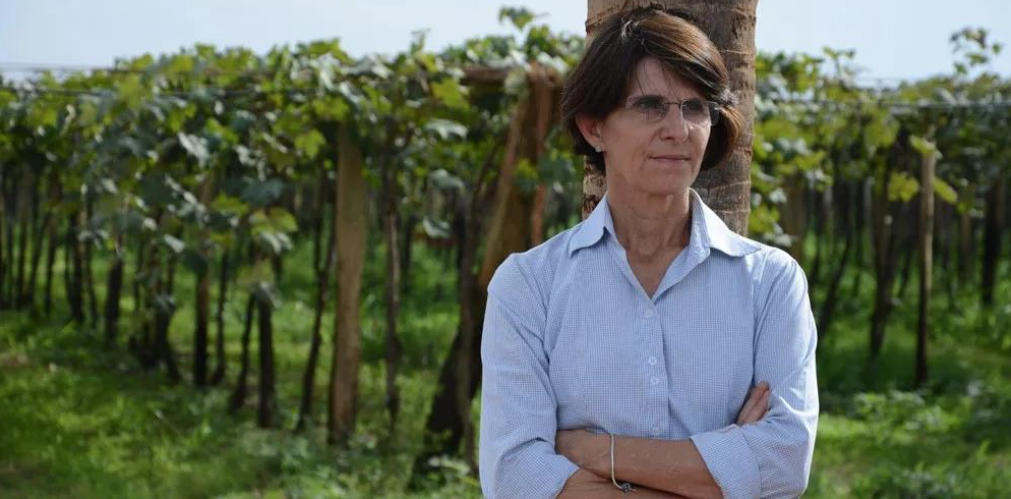 Produtora rural bem sucedida faz alerta às mulheres e empreendedoras do agro; saiba qual