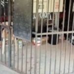 Homem denuncia escola e afirma que criança de 7 anos foi trancada em gaiola de ferro 