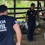 Vítima de emboscada e é encontrada pendurada pelo pescoço no interior de Minas Gerais