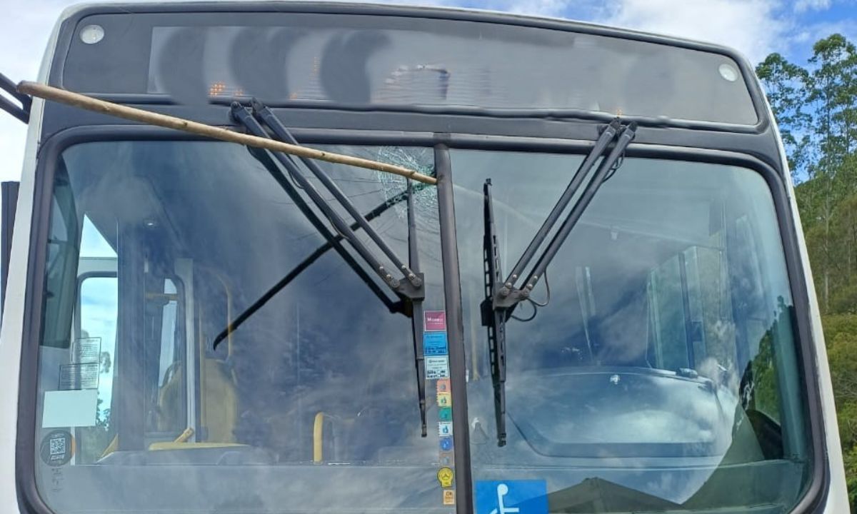 Homem é detido por arremessar galho contra ônibus de viagem na BR-040