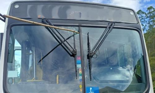 Homem arremessa galho contra ônibus de viagem na Zona da Mata Foto PRF Divulgação (1).jpg