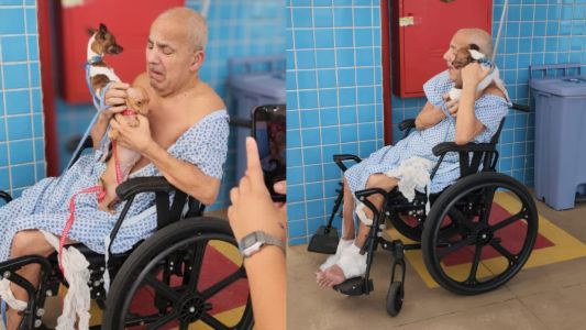 Paciente internado reencontra seus cachorros em hospital no DF; veja | CNN Brasil