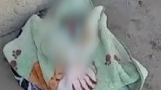 Homem de 47 anos é guarda patrimonial e gravou vídeo no momento em que a criança foi encontrada