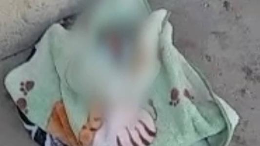 Homem de 47 anos é guarda patrimonial e gravou vídeo no momento em que a criança foi encontrada