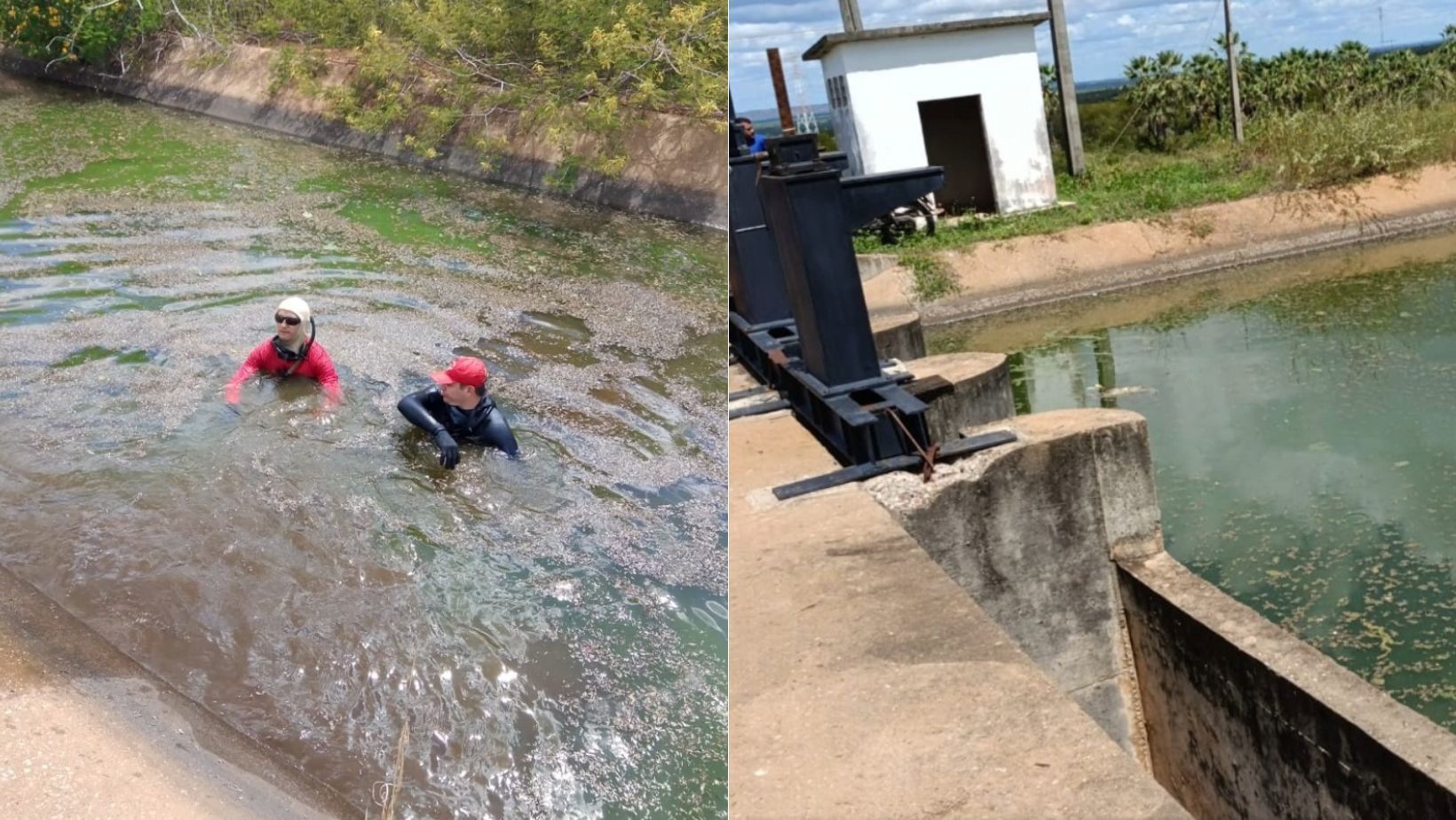 Homem é atacado por abelhas durante pesca, pula em canal e morre