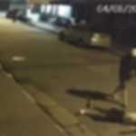 Imagem mostra homem sendo golpeado e morto a pauladas no litoral de SP
