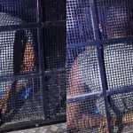 Homem é preso em flagrante por agredir companheira, em Venda Nova