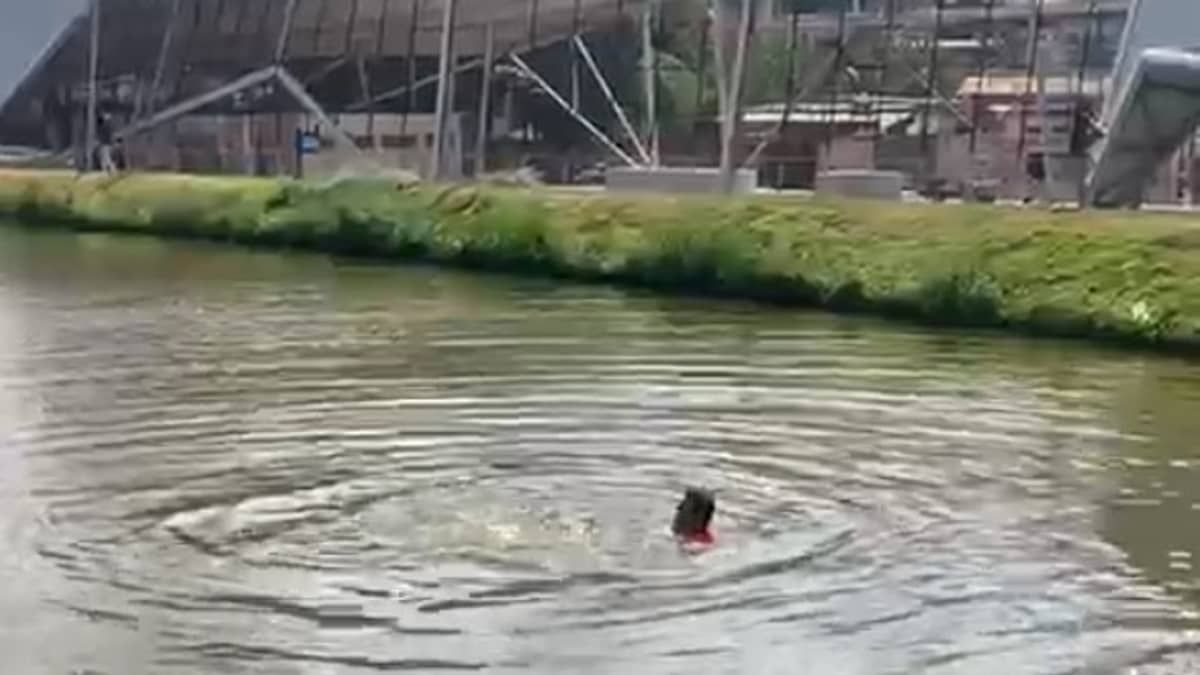 Homem é resgatado após ficar submerso por 20 minutos em lagoa de Vespasiano