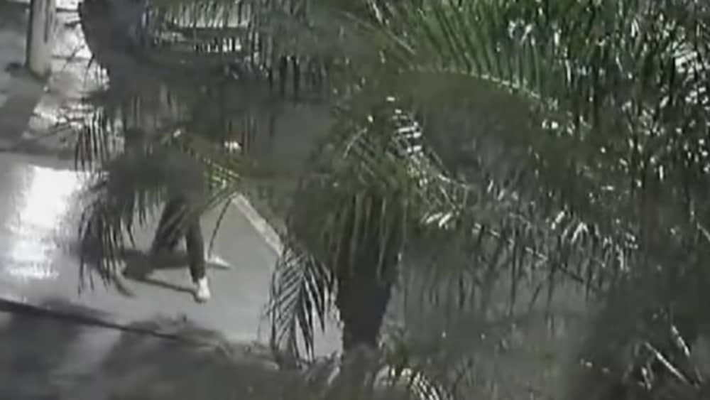 Agente da Força Nacional de Segurança é baleado e morto no Rio de Janeiro 