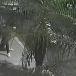 Agente da Força Nacional de Segurança é baleado e morto no Rio de Janeiro 