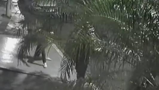 Homem foge após atirar contra agente da Força Nacional, no Rio de Janeiro