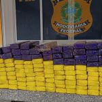 Perseguição policial em mata termina com apreensão de quase 100kg de maconha em MG