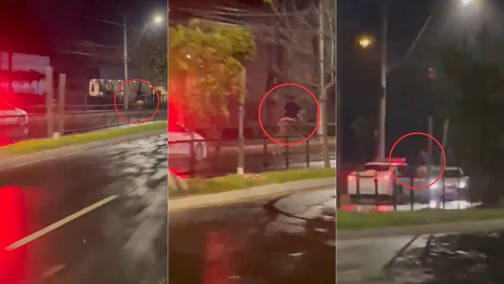 Vídeo: homem foge a cavalo da polícia em Porto Alegre e animal morre atropelado em fuga