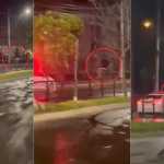 Vídeo: homem foge a cavalo da polícia em Porto Alegre e animal morre atropelado em fuga