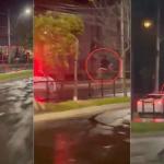 Vídeo: homem foge a cavalo da polícia em Porto Alegre e animal morre atropelado em fuga