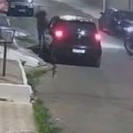 Vídeo mostra motociclista atirando contra homem após atropelamento cachorro vira-lata na Grande BH