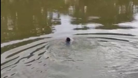Homem foi desafiado pelo patrão e, ao final da travessia, recebeu R$ 50