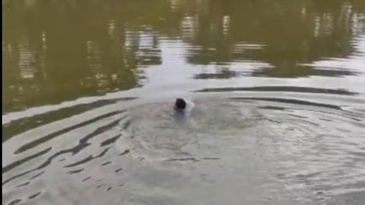 Homem foi desafiado pelo patrão e, ao final da travessia, recebeu R$ 50