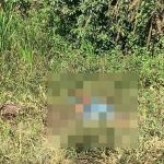 Corpo é encontrado em matagal à beira de córrego em Ibirité