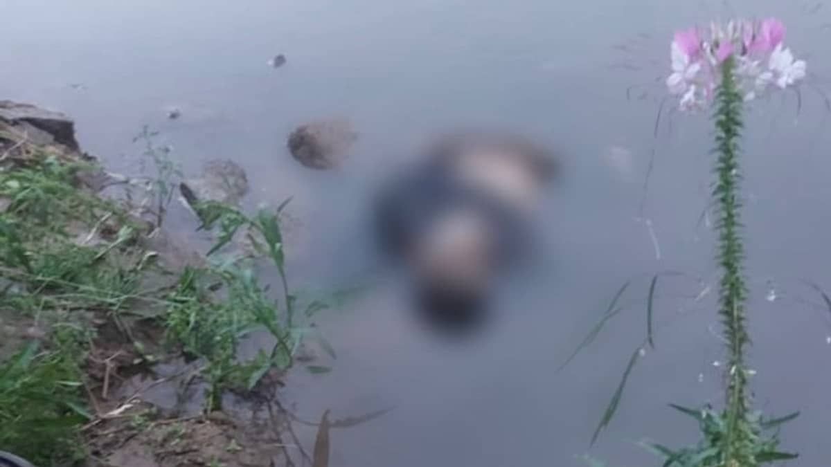 Corpo com perfuração na cabeça é encontrado no Rio Piracicaba em Coronel Fabriciano  