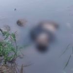 Corpo com perfuração na cabeça é encontrado no Rio Piracicaba em Coronel Fabriciano