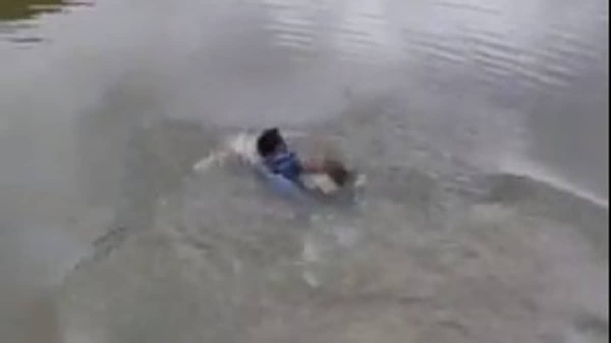 É proibido nadar na Lagoa da Pampulha? Saiba o que diz a legislação do município